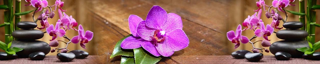 skinali 0719